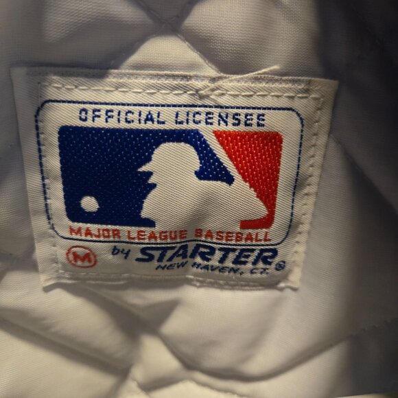 PLEASE READ DESCRIPTION - Vintage Detroit Tigers Starter Jacket Adult Medium - Picture 2 of 16